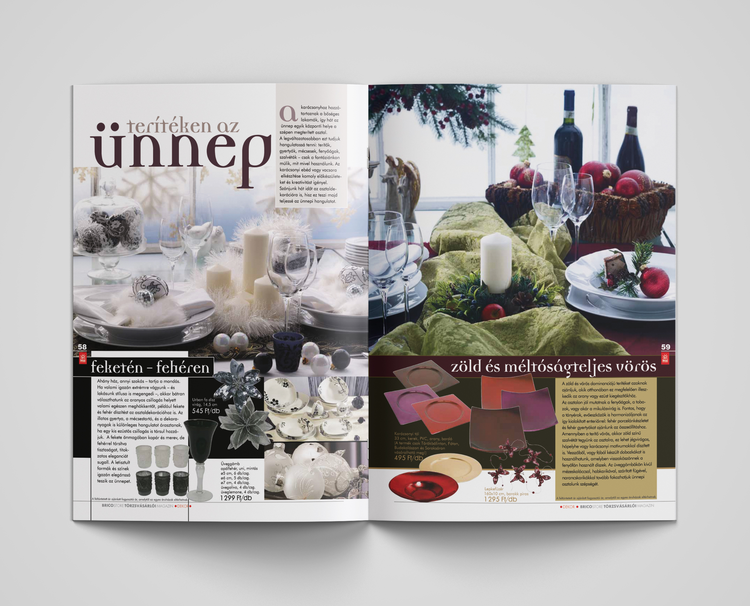 Bricostore magazin